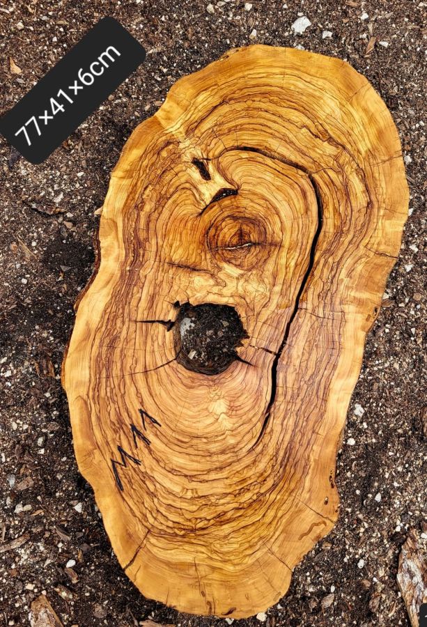 Baumscheibe Olivenholz M11