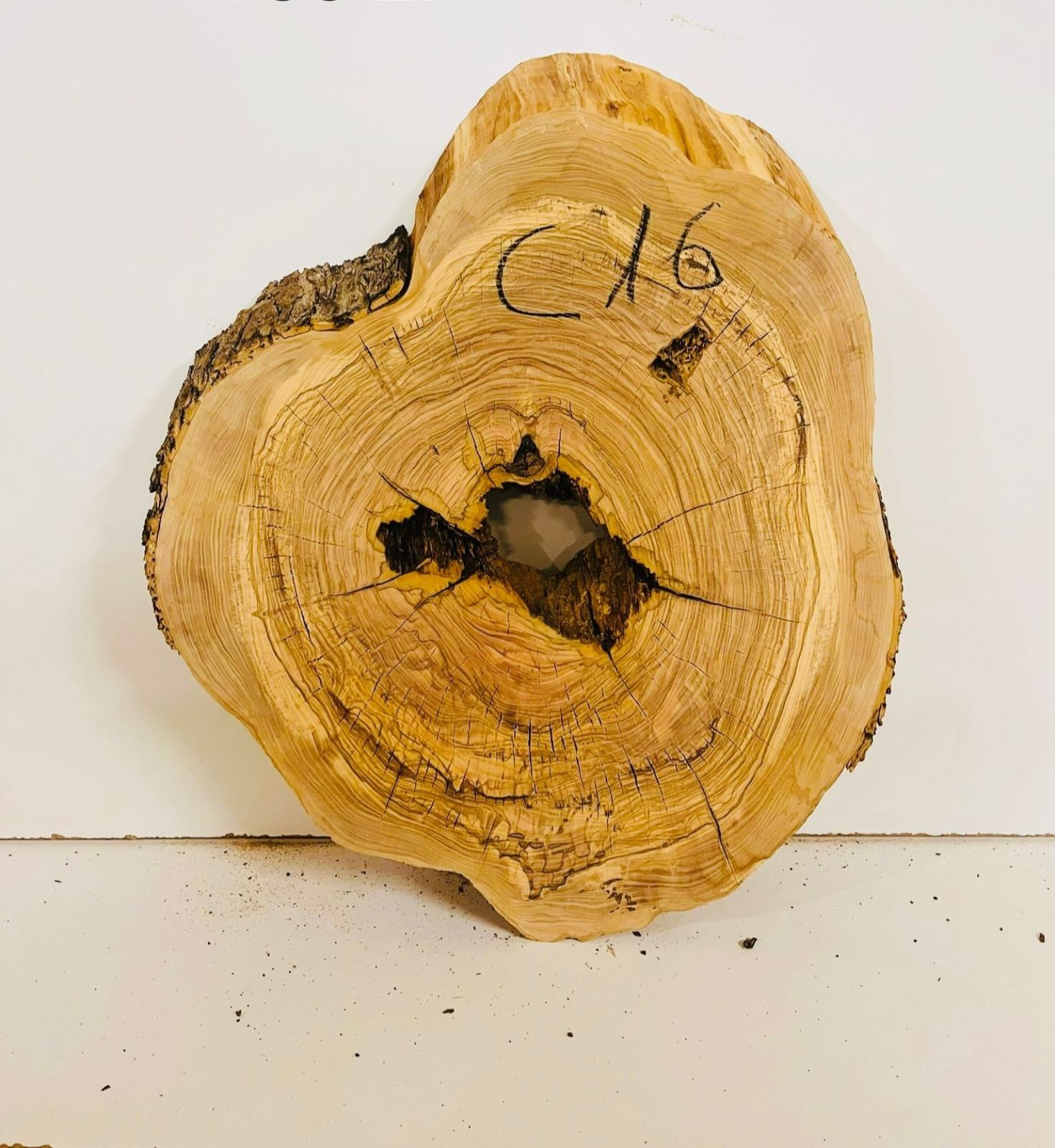 Baumscheibe Olivenholz C16