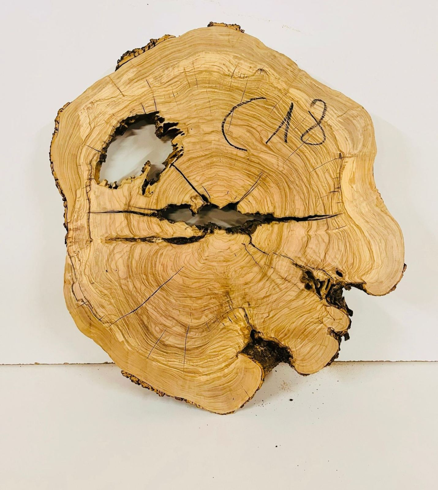 Baumscheibe Olivenholz C18