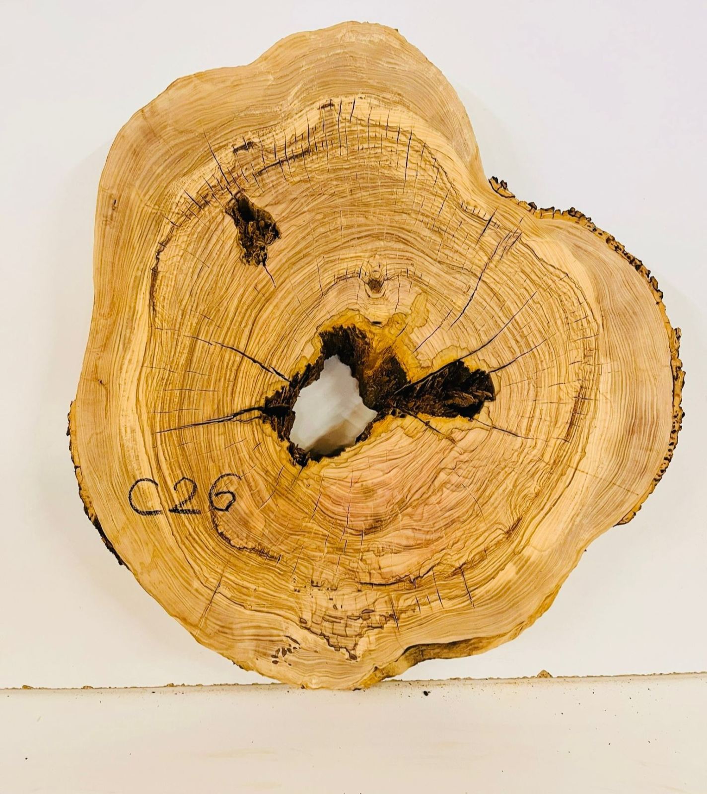 Baumscheibe Olivenholz C26