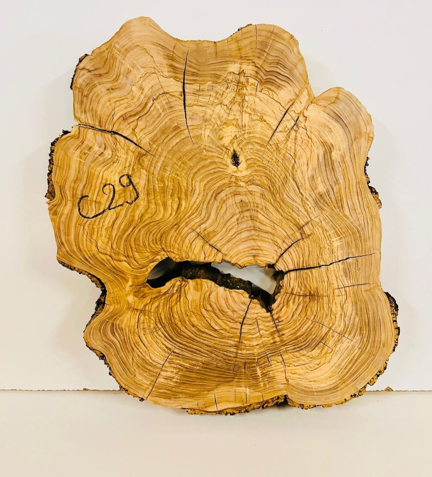 Baumscheibe Olivenholz C29