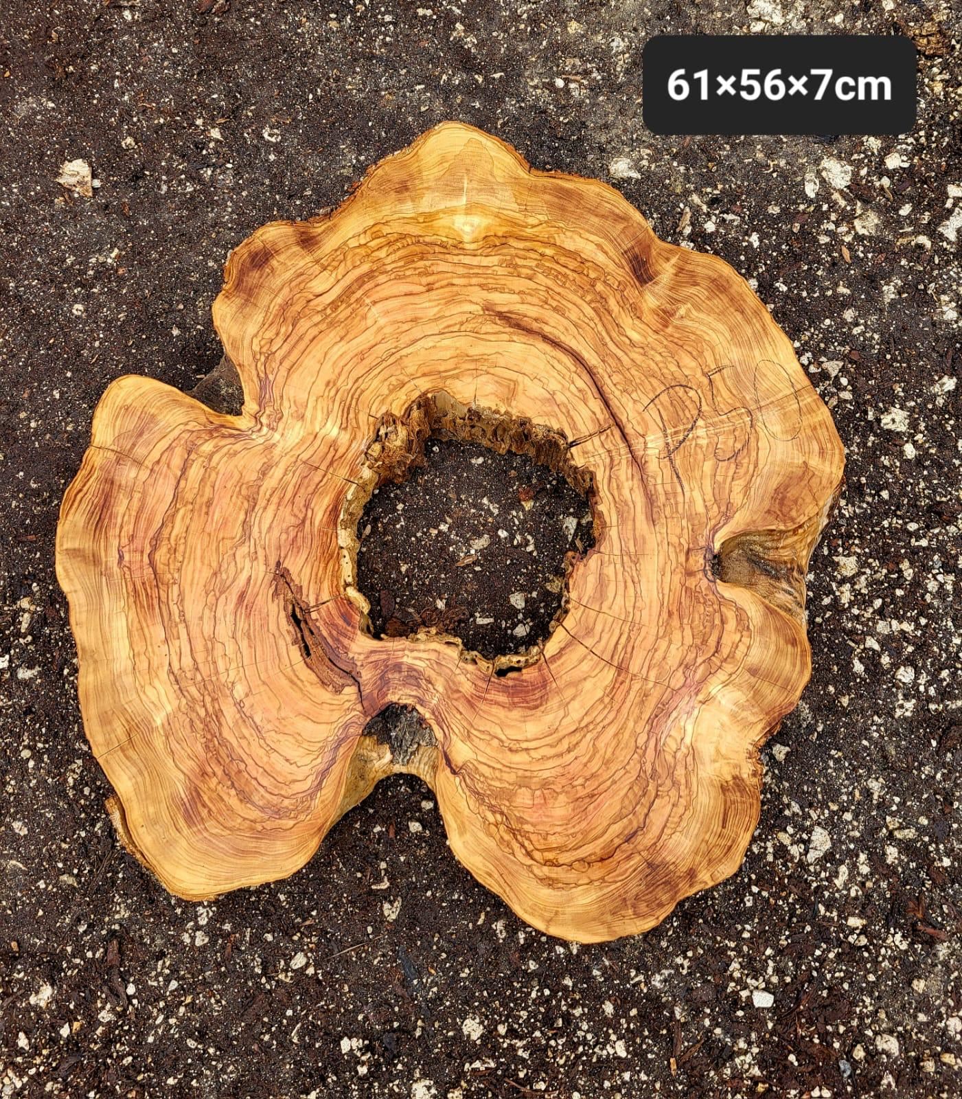 Baumscheibe Olivenholz P50