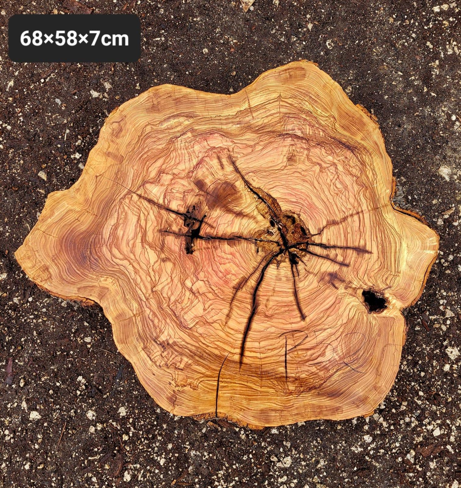 Baumscheibe Olivenholz P52