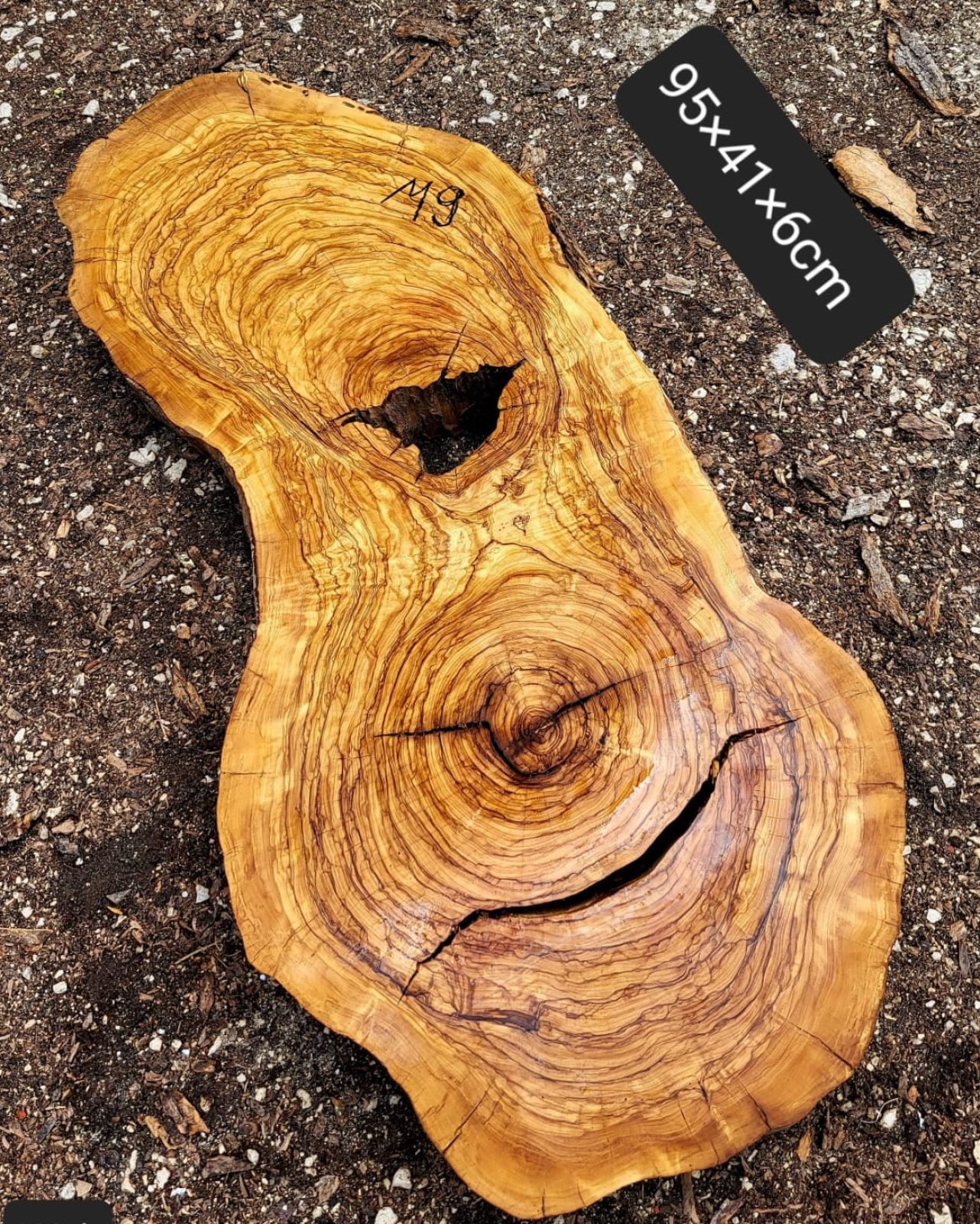 Baumscheibe Olivenholz M09