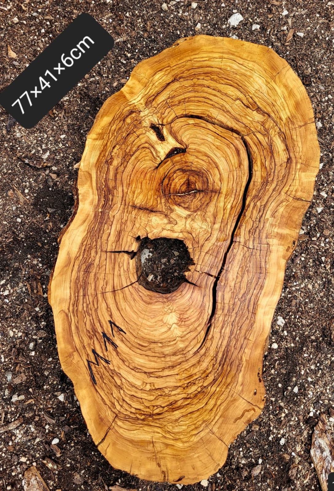 Baumscheibe Olivenholz M11