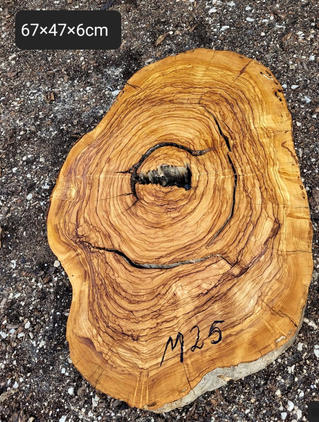 Baumscheibe Olivenholz M25